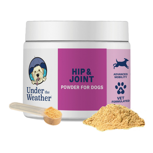 Hip & Joint Support Powder for Dogs