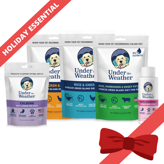 Holiday Survival Bundle For Dogs