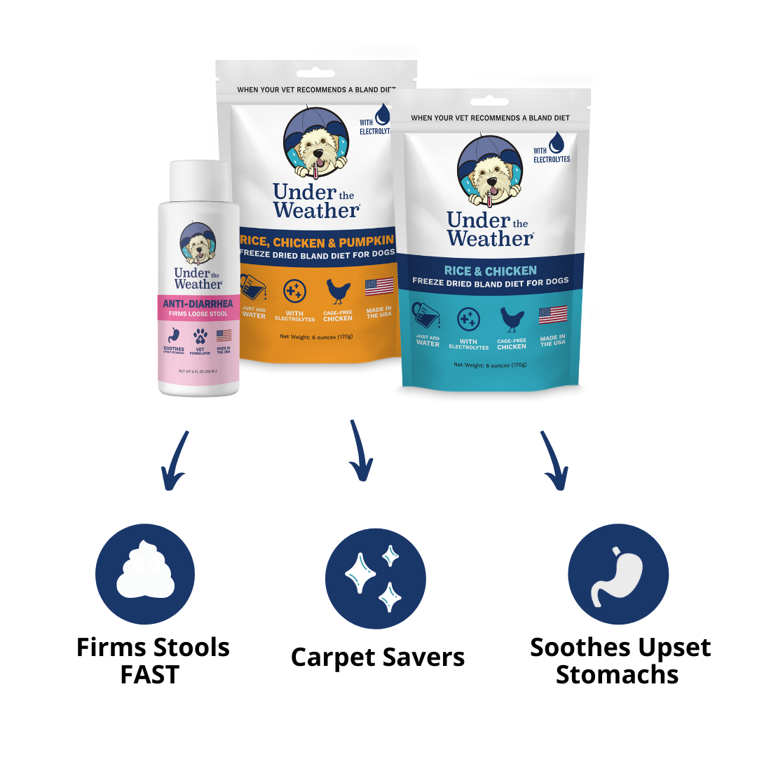 Anti-Diarrhea Bundle For Dogs
