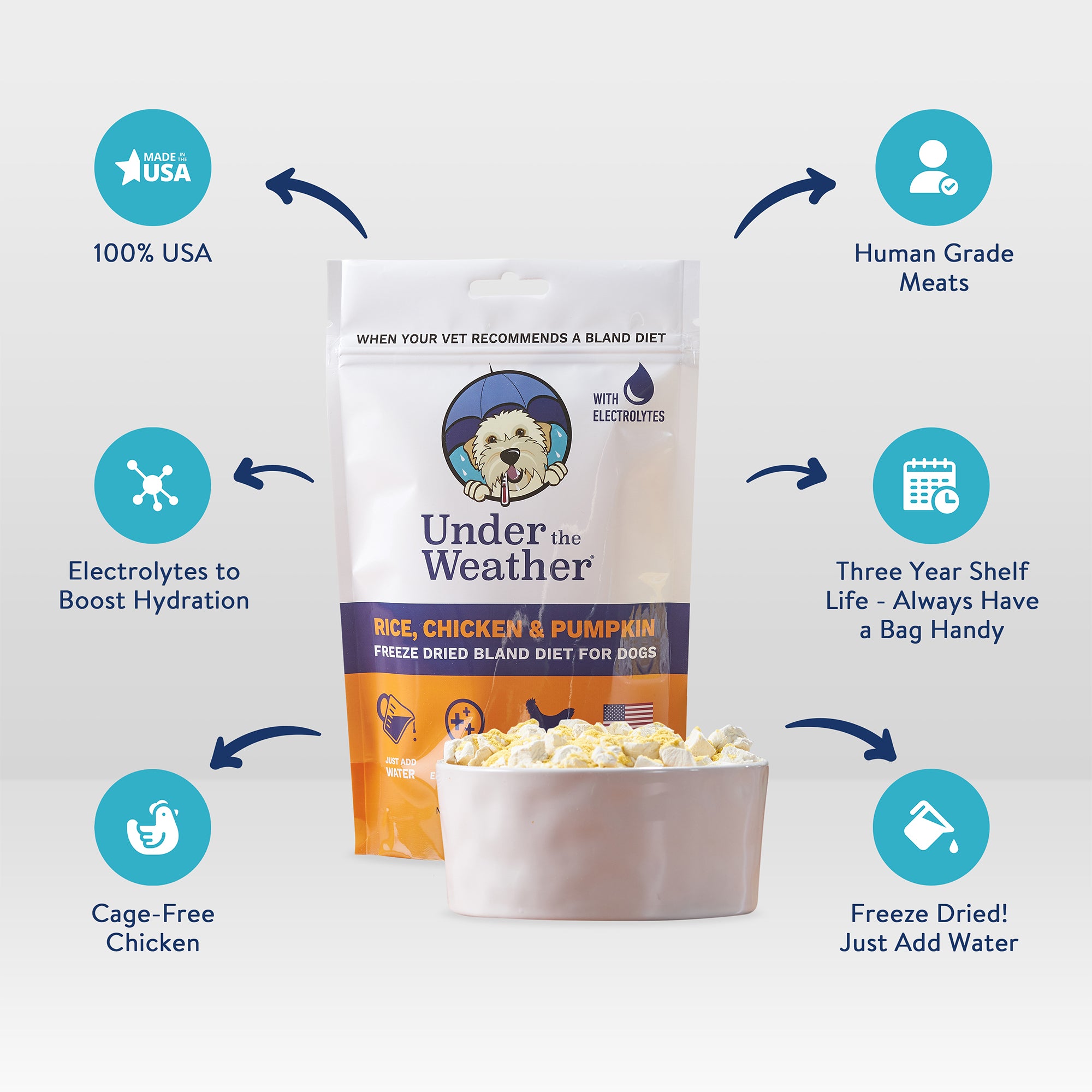 Ready Cal High Calorie Supplement + Chicken, Rice and Pumpkin Bland Diet Bundle