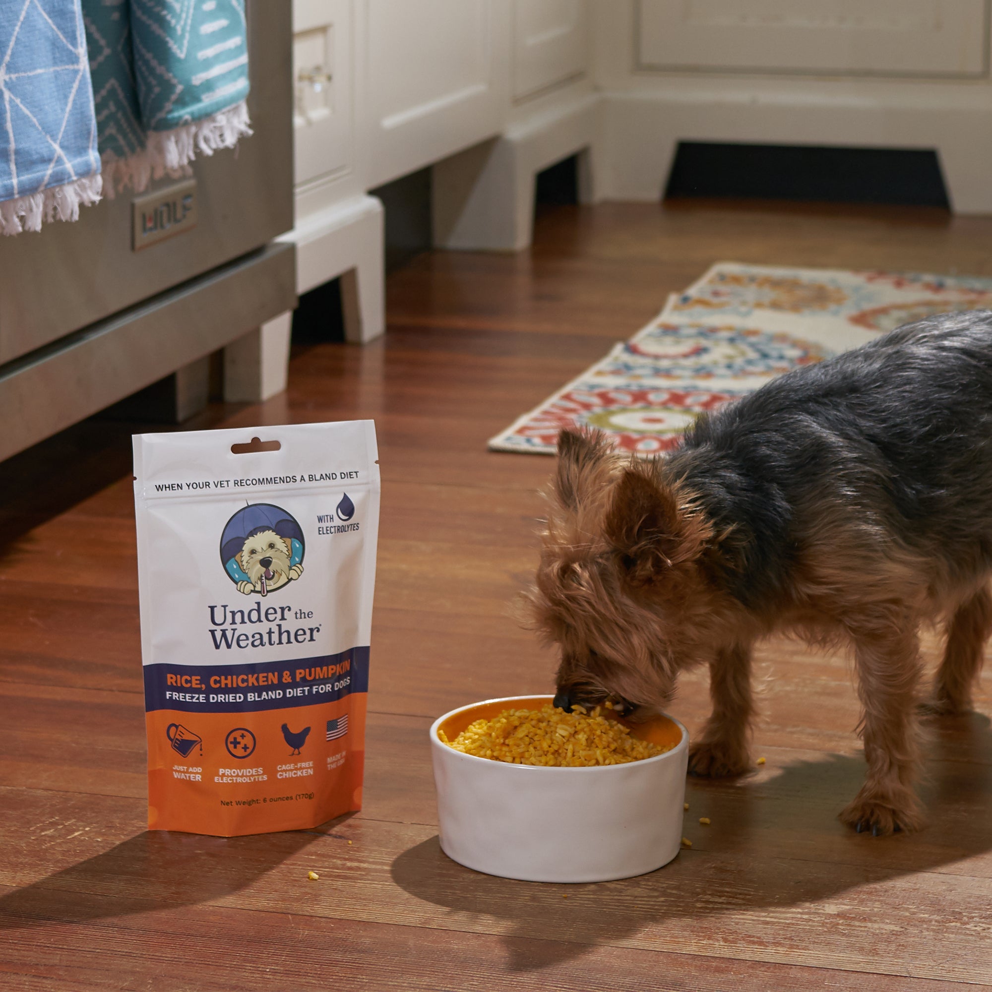 Chicken, Rice, & Pumpkin Bland Diet For Dogs - 6 Pack