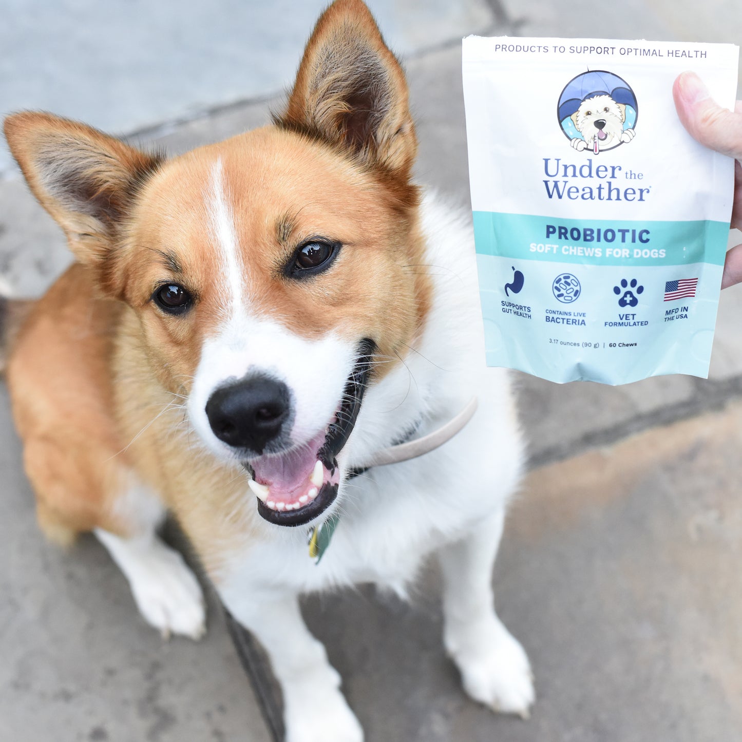 Probiotic Soft Chews & Anti-Diarrhea For Dogs