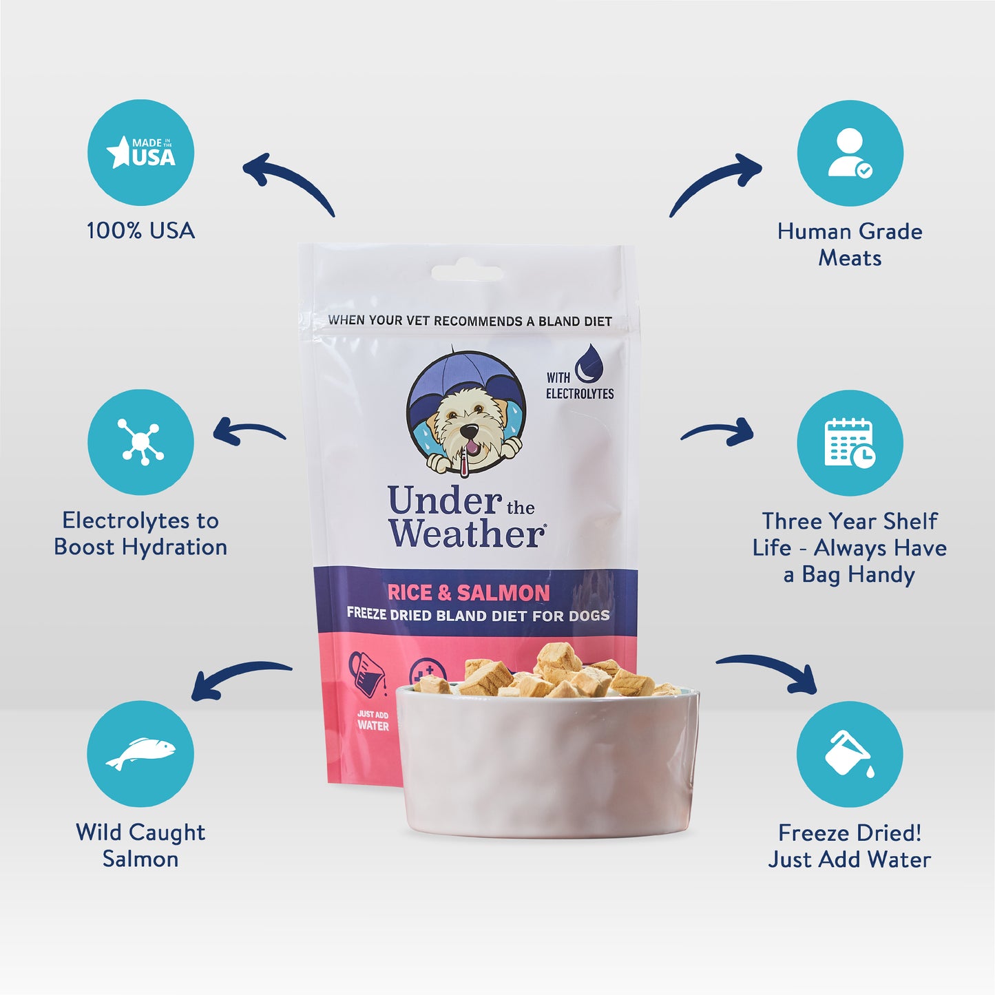 Salmon & Rice Bland Diet For Dogs - 6 pack
