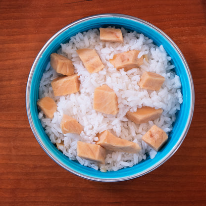 Salmon & Rice Bland Diet For Dogs