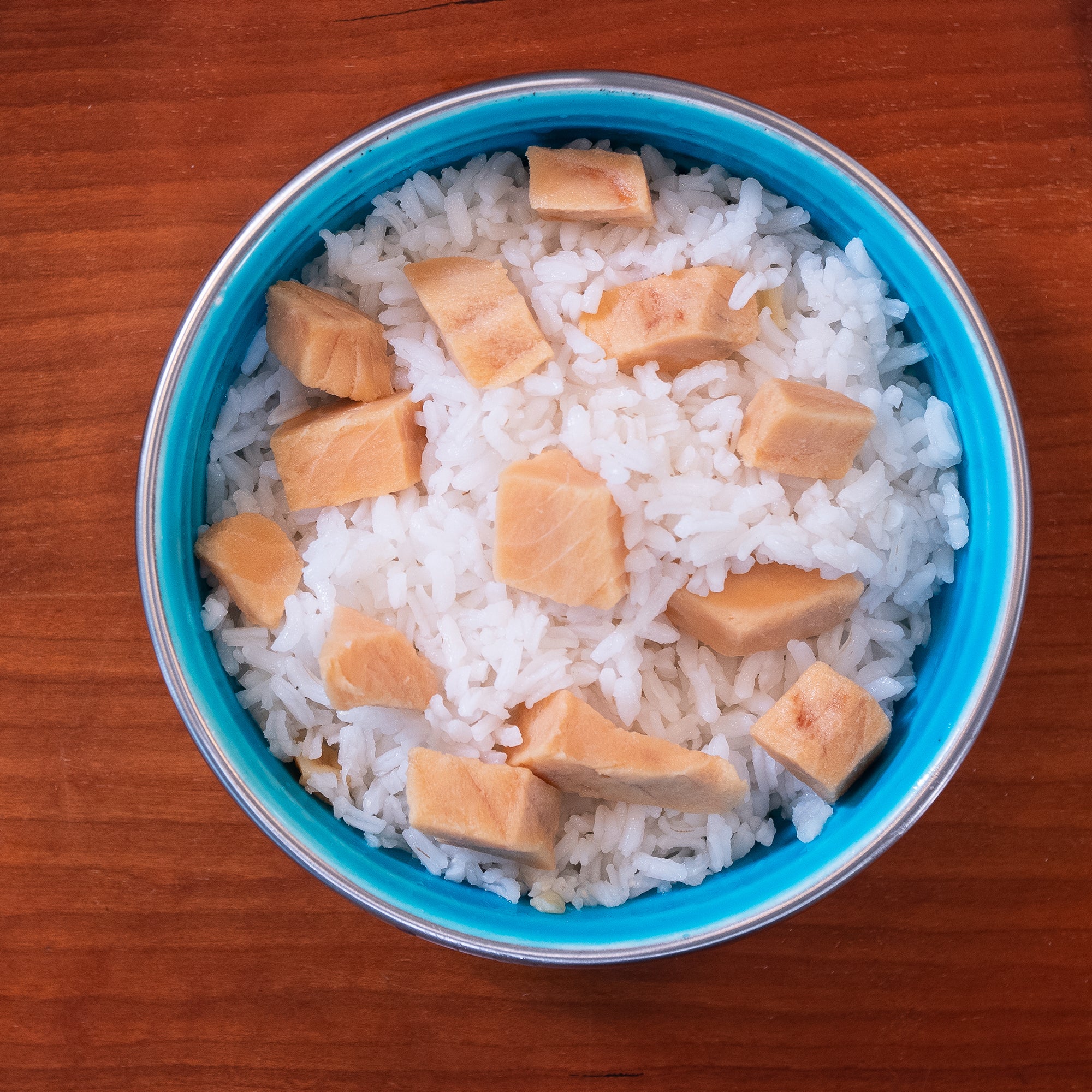 Salmon & Rice Bland Diet For Dogs - 6 pack
