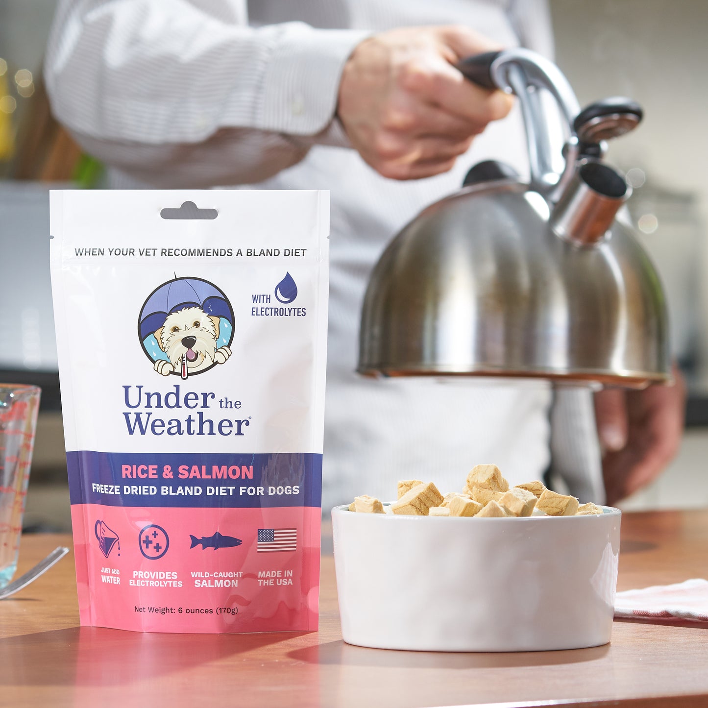 Salmon & Rice Bland Diet For Dogs - 6 pack