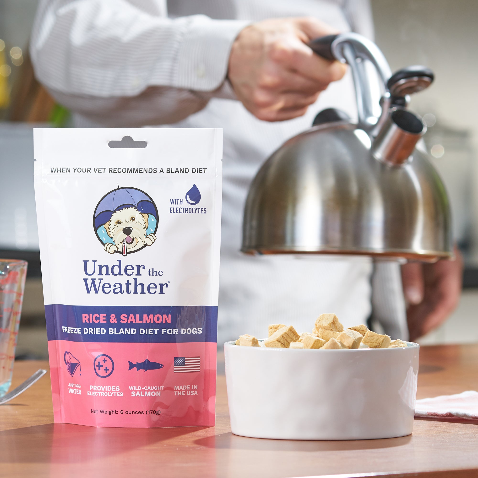 Salmon & Rice Bland Diet For Dogs - 6 pack