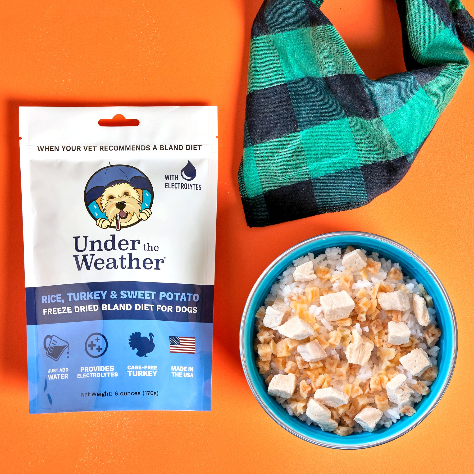 Turkey, Rice, & Sweet Potato Bland Diet For Dogs - 2 Pack