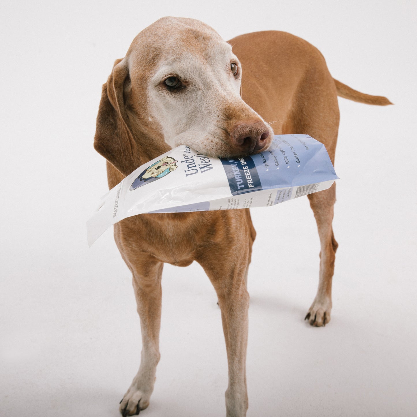 Turkey, Rice, & Sweet Potato Bland Diet For Dogs - 2 Pack