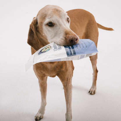 Turkey, Rice, & Sweet Potato Bland Diet For Dogs - 2 Pack