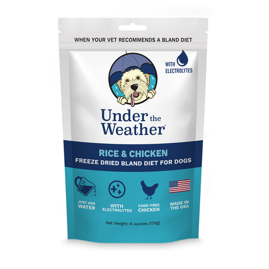 Bland Diet for Dogs