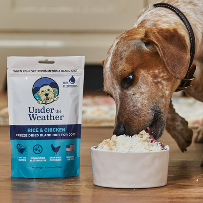 Chicken & Rice Bland Diet For Dogs - 2 Pack