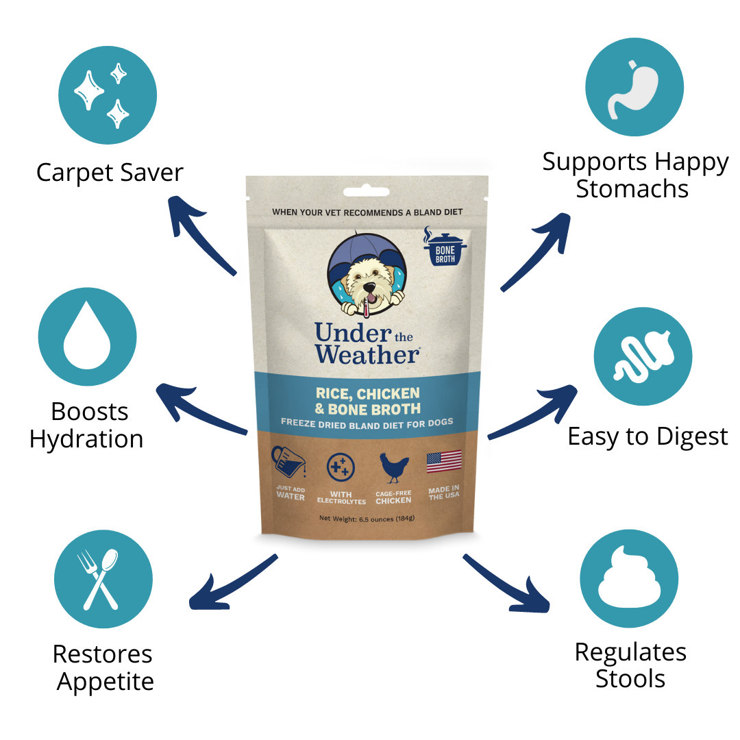 Chicken, Rice, & Bone Broth Bland Diet For Dogs - 6 pack
