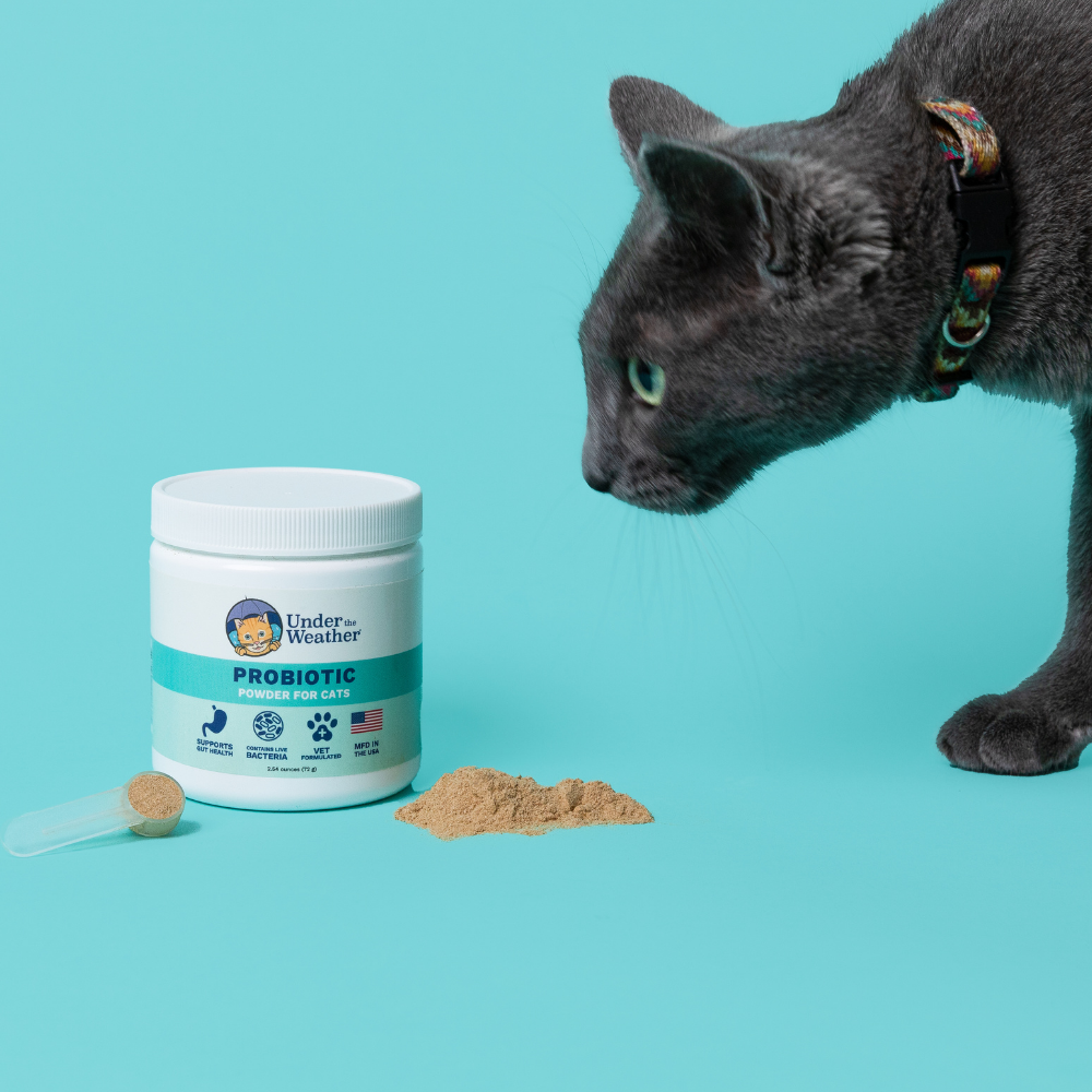 Probiotic Powder For Cats