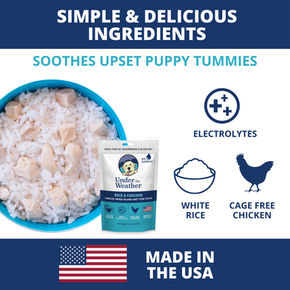 Puppy Starter Kit Bundle