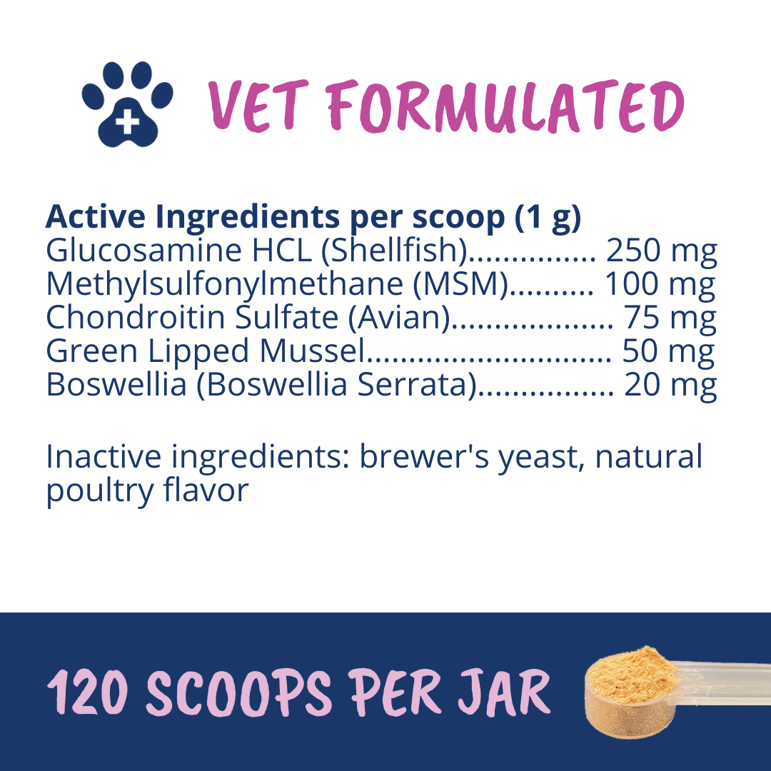 Hip & Joint Support Powder for Dogs