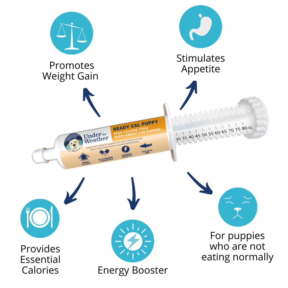 Ready Cal High-Calorie Supplement For Puppies - 80cc