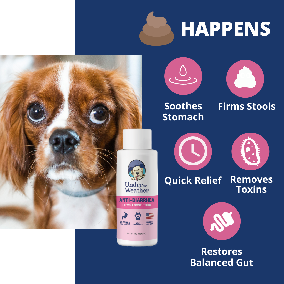 Anti-Diarrhea Bundle For Dogs