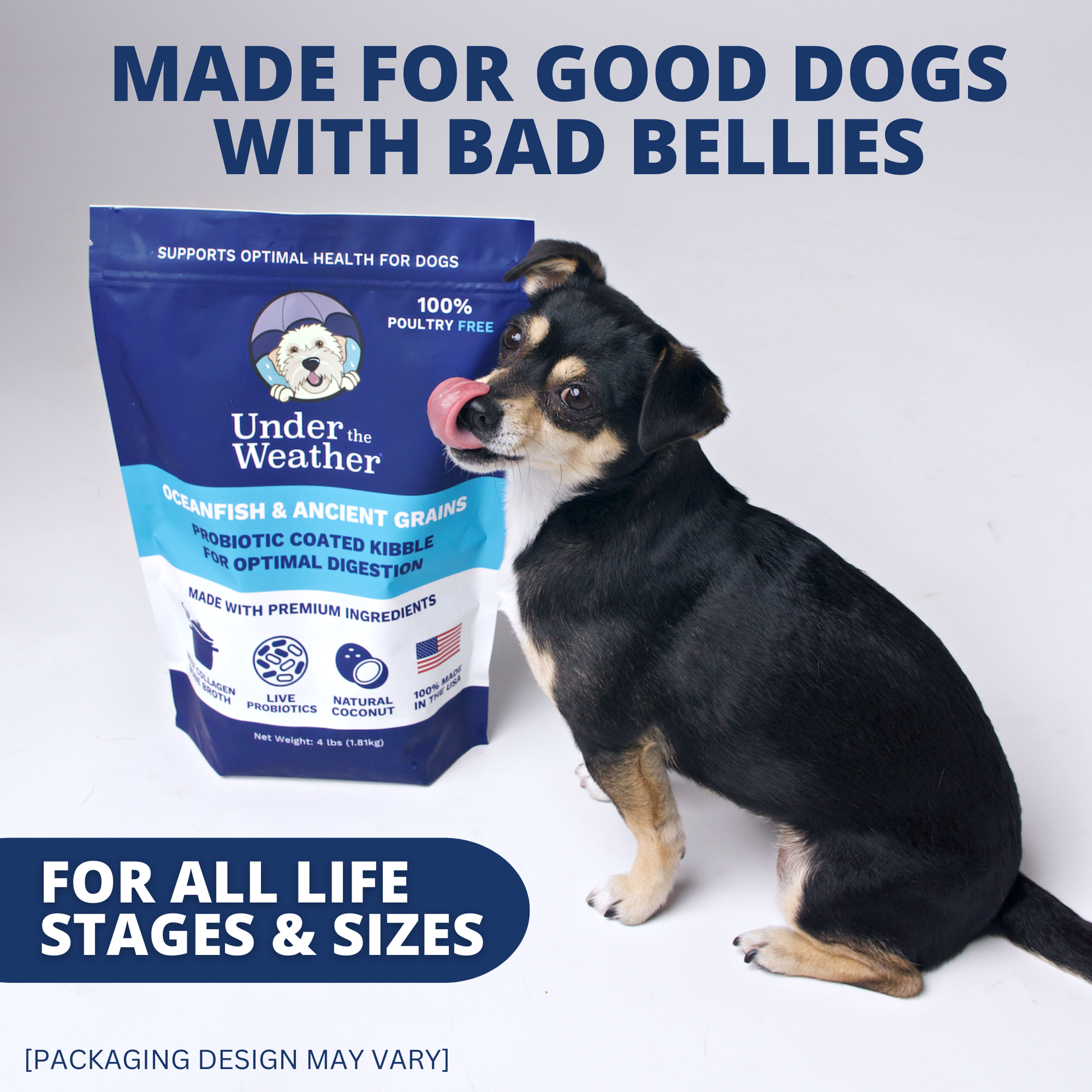 Is kibble sales bad for dogs
