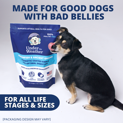 Probiotic & Bone Broth Coated Kibble For Dogs