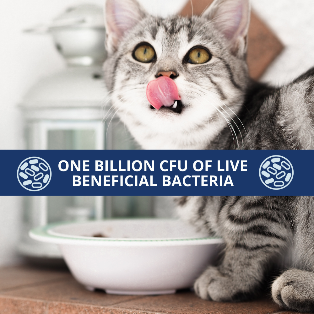 Probiotic Powder For Cats