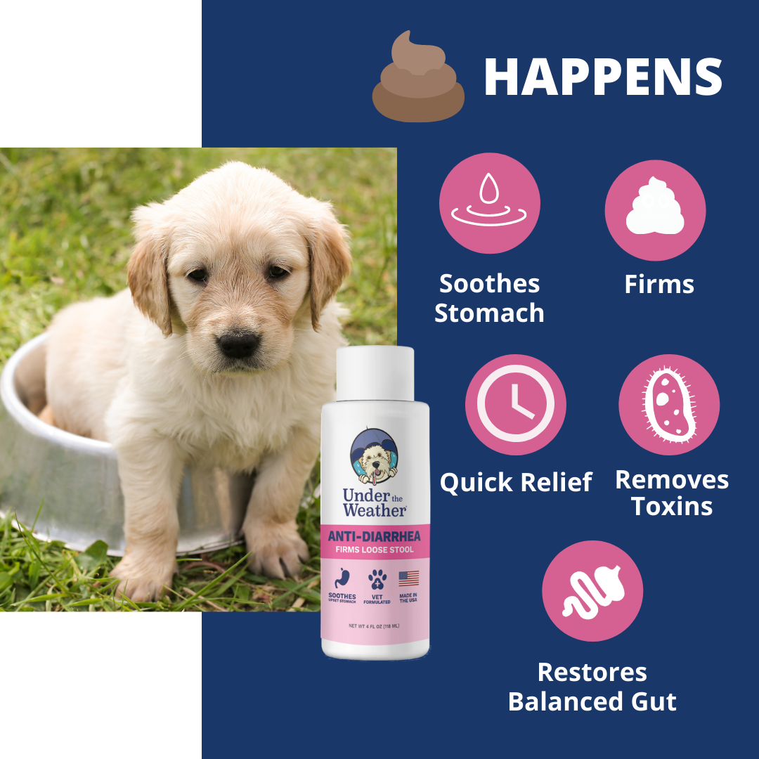 Puppy Starter Kit Bundle
