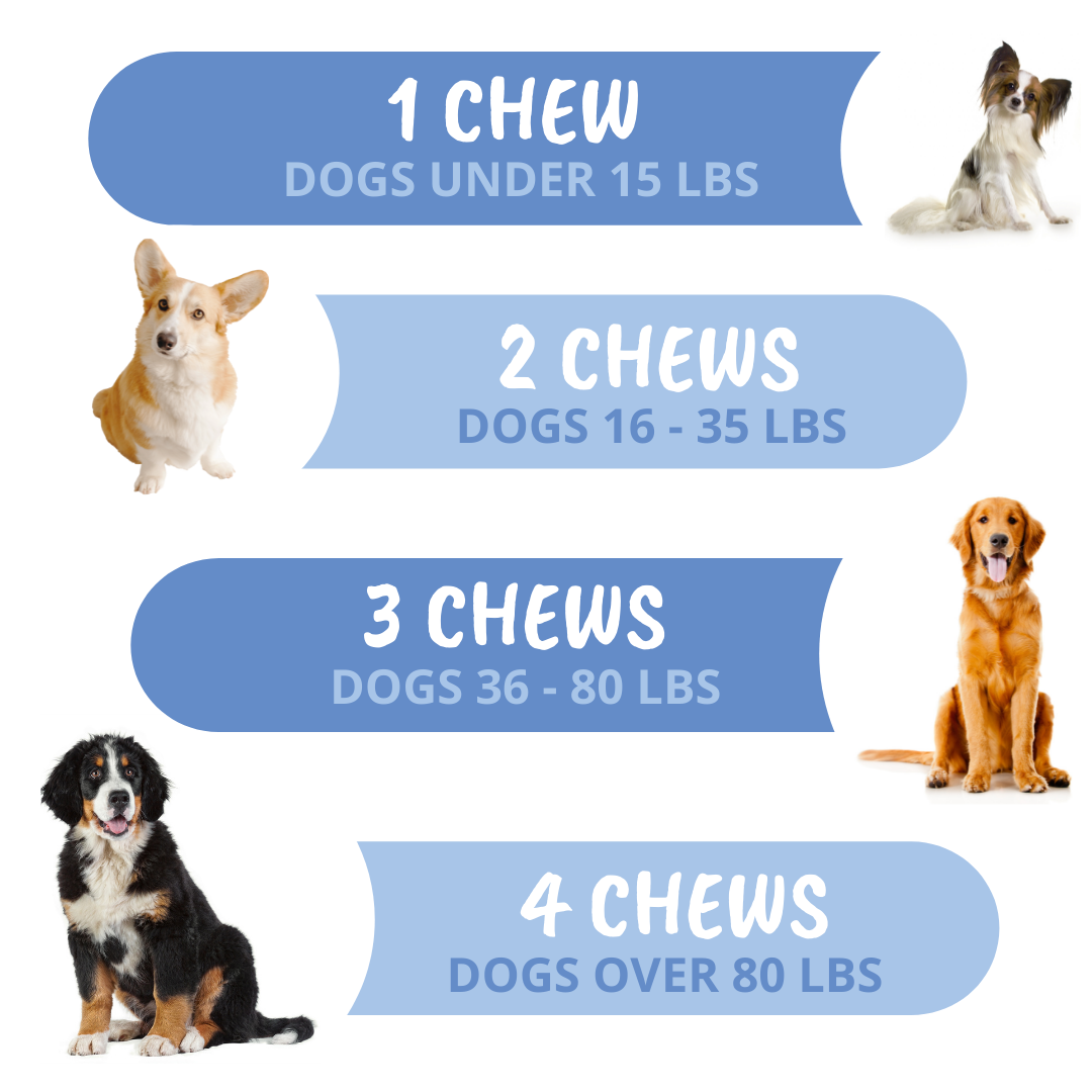 Disc and Spine Chews For Dogs