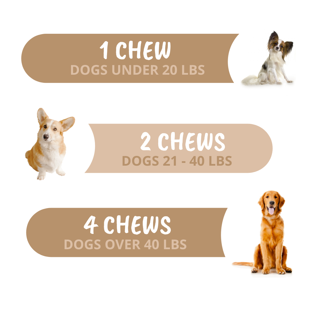 Go Time Chews For Dogs