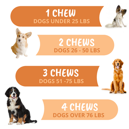 Turmeric & Curcumin Soft Chews for Dogs