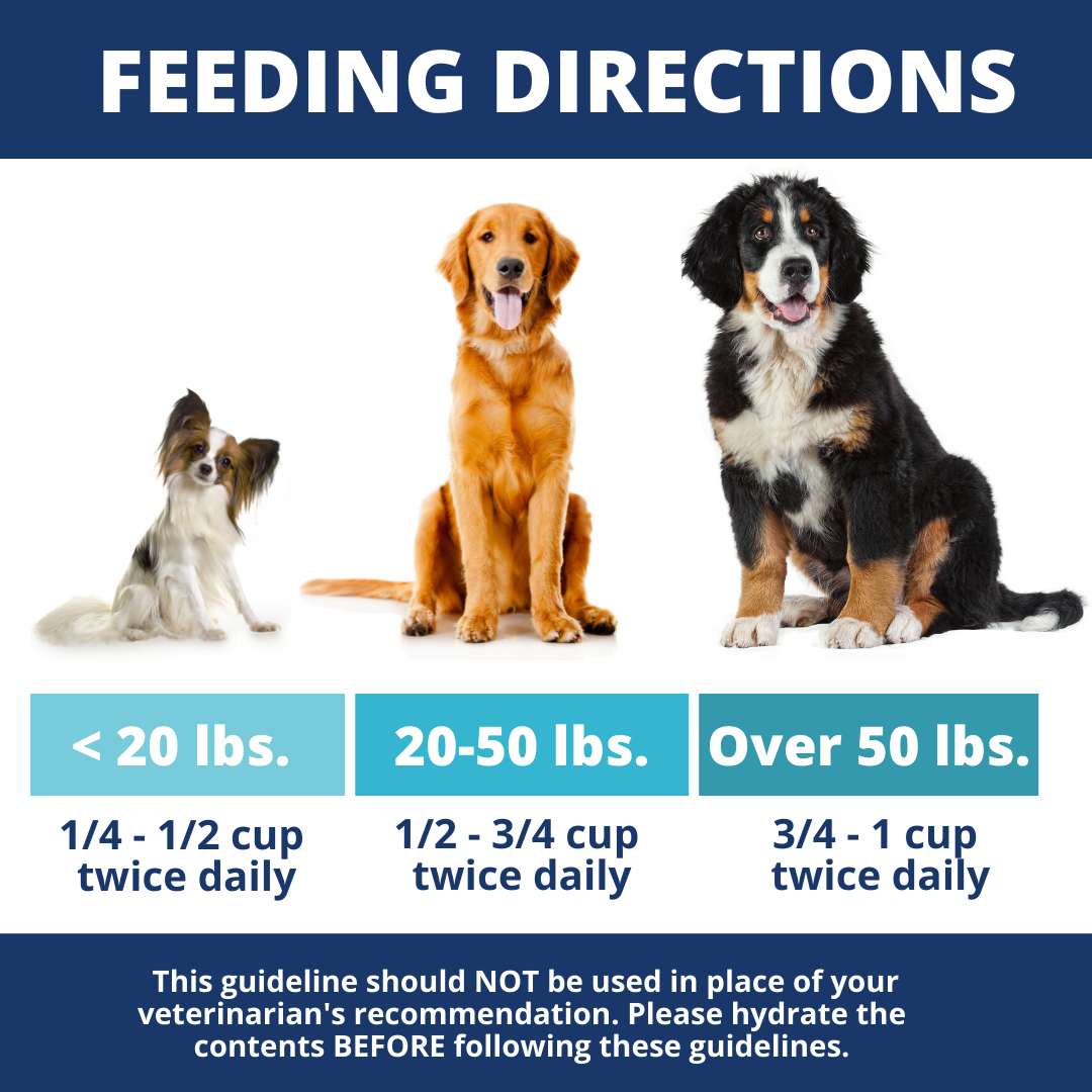 Hamburger, Rice, & Bone Broth Bland Diet For Dogs - 6 Pack