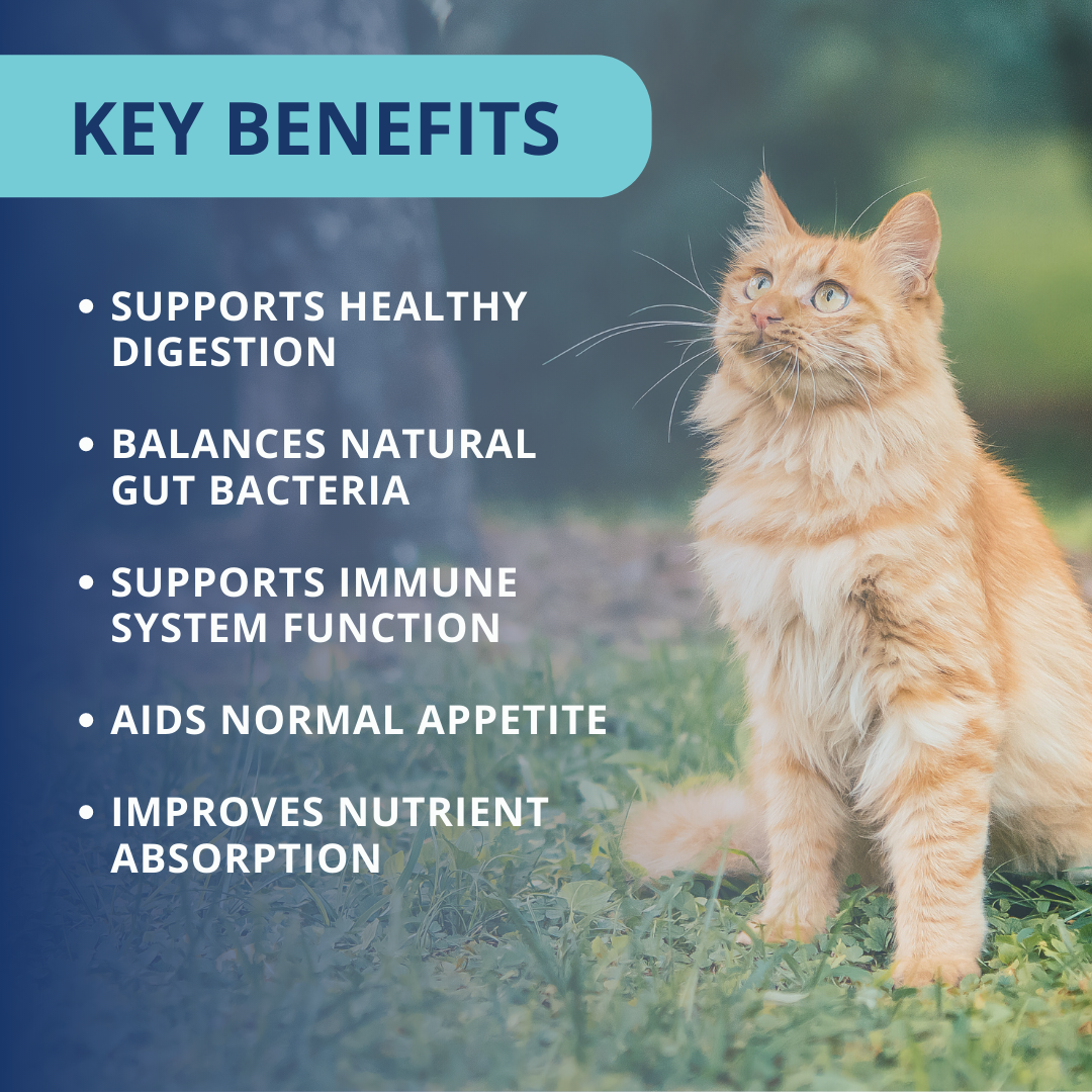 Probiotic Soft Chews For Cats