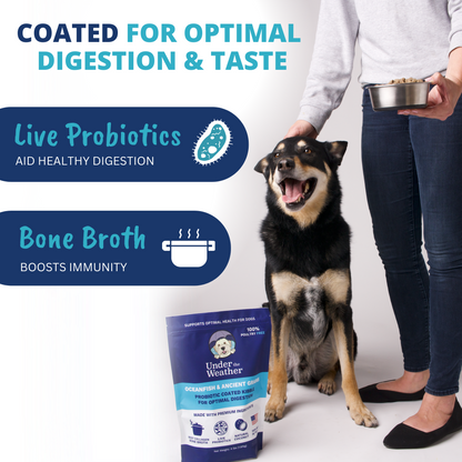 Probiotic & Bone Broth Coated Kibble For Dogs