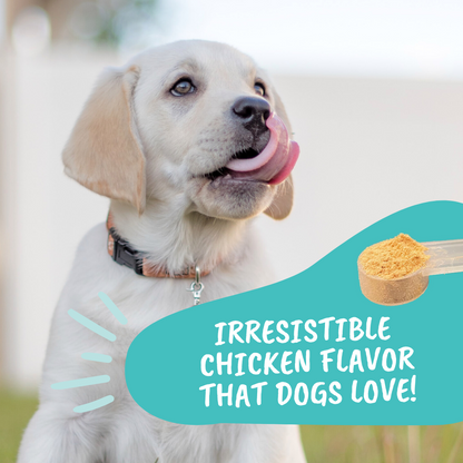 Best dog probiotic powder best sale