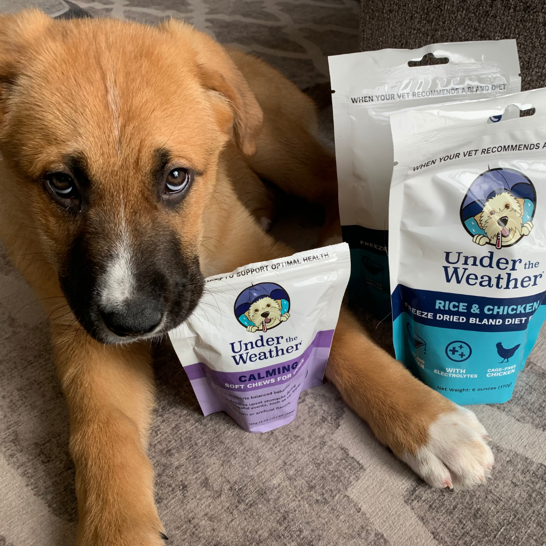 Puppy Starter Kit Bundle