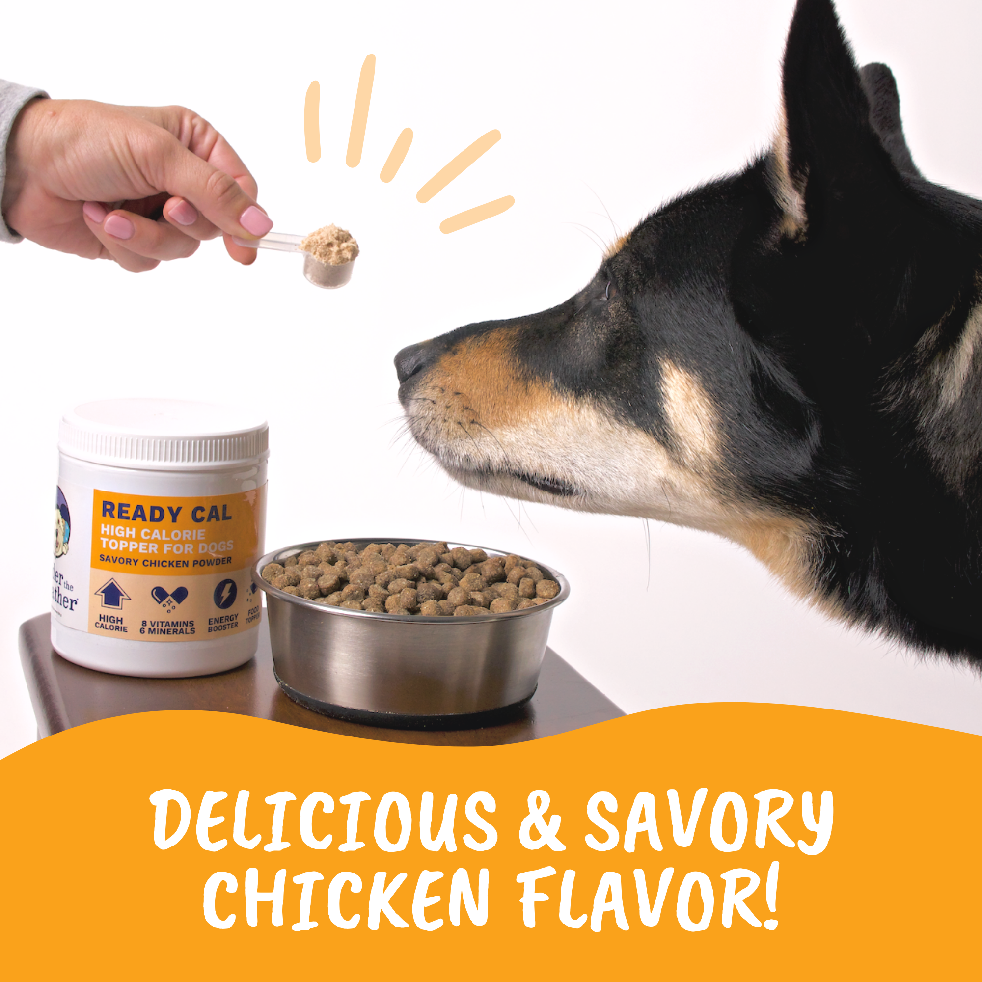 Ready Cal High Calorie Powder for Dogs