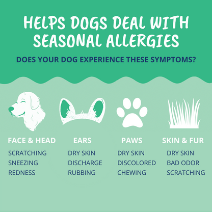 Allergy and Itch Chews for Dogs