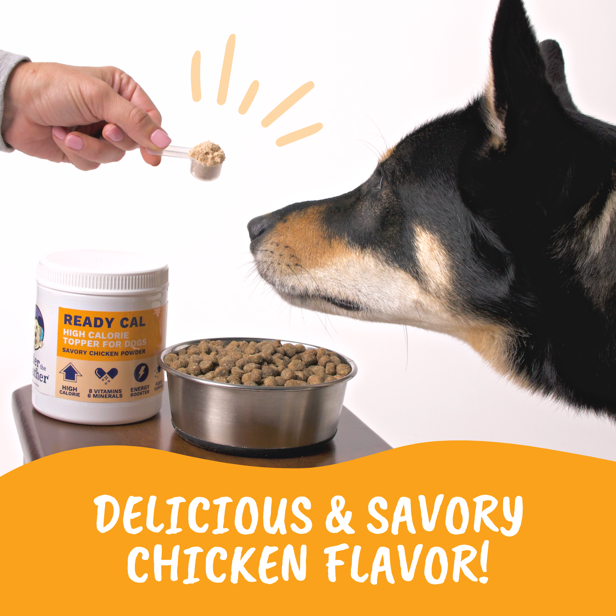 Ready Cal High Calorie Bundle for Dogs