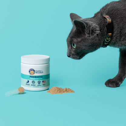 Probiotic Powder Anti Diarrhea Bundle For Cats Under the Weather