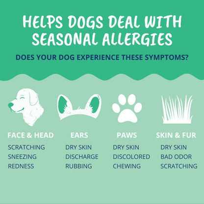 Allergy and Itch Powder For Dogs