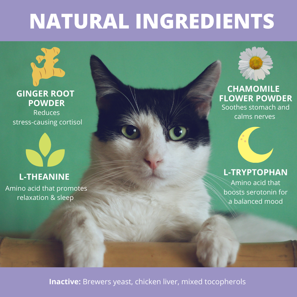 Calming Powder For Cats