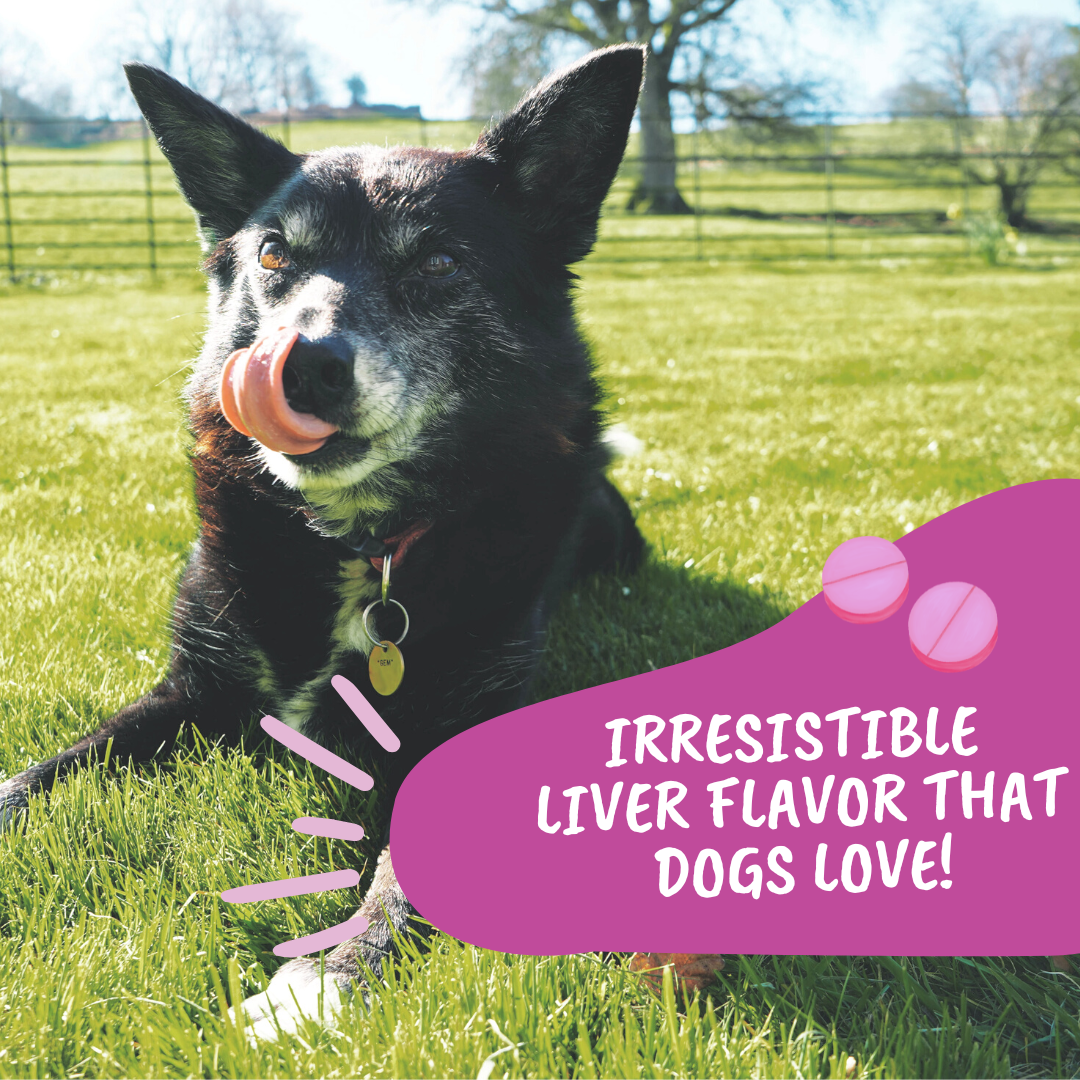 Joint Support Chewable Tablets For Dogs