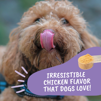 Calming Powder for Dogs
