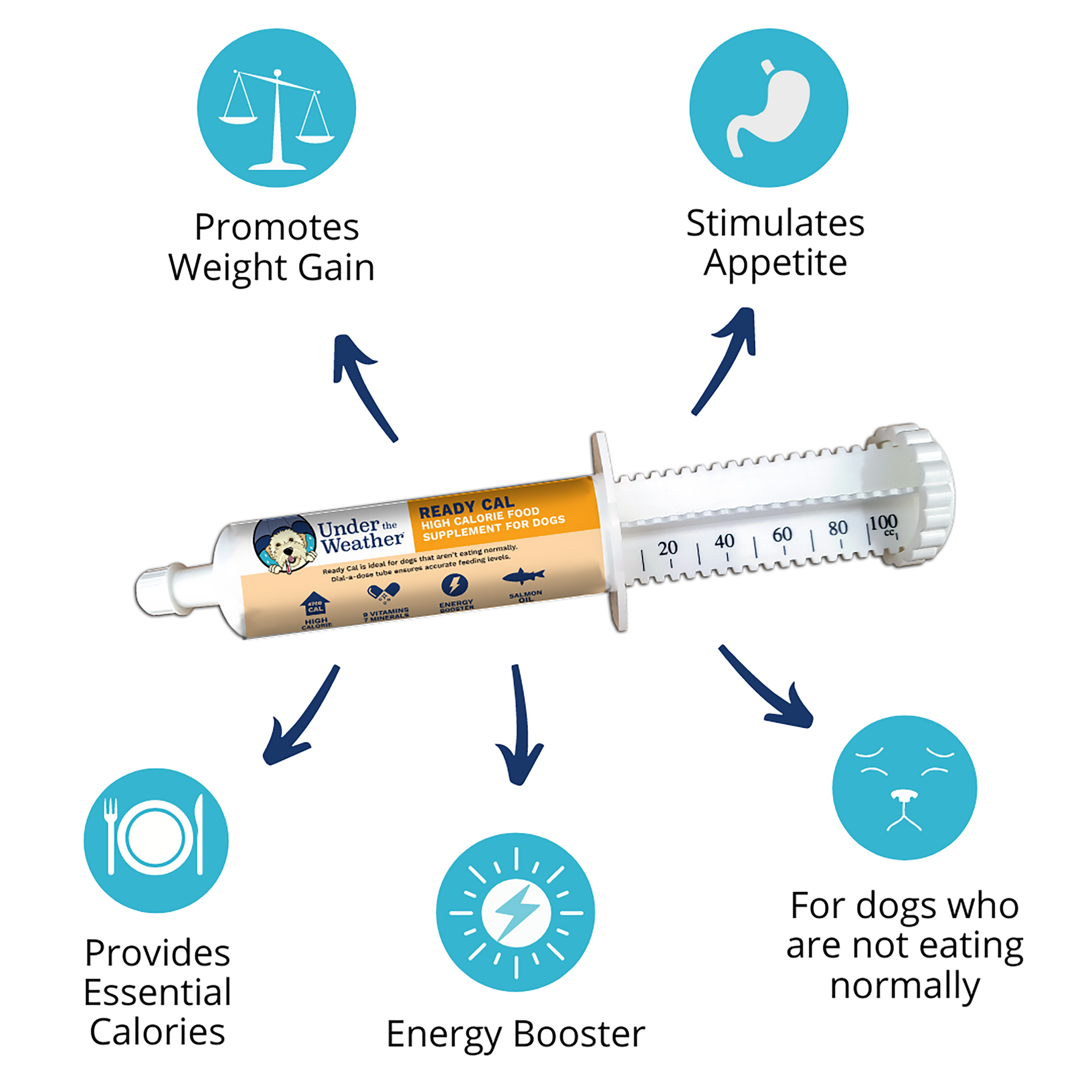 Ready Cal High Calorie Bundle for Dogs