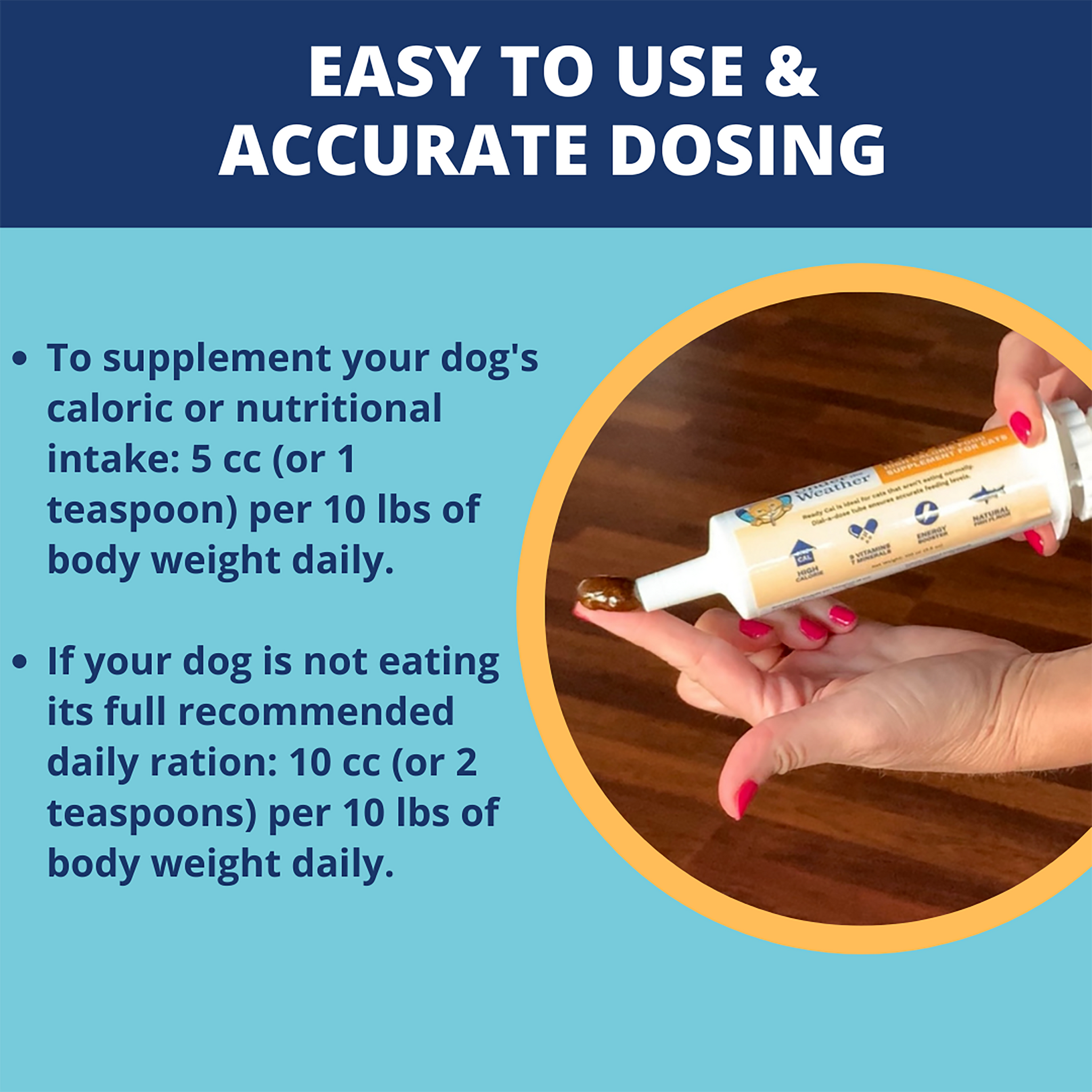 Ready Cal High Calorie Bundle for Dogs