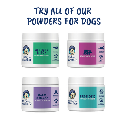 Allergy and Itch Powder For Dogs