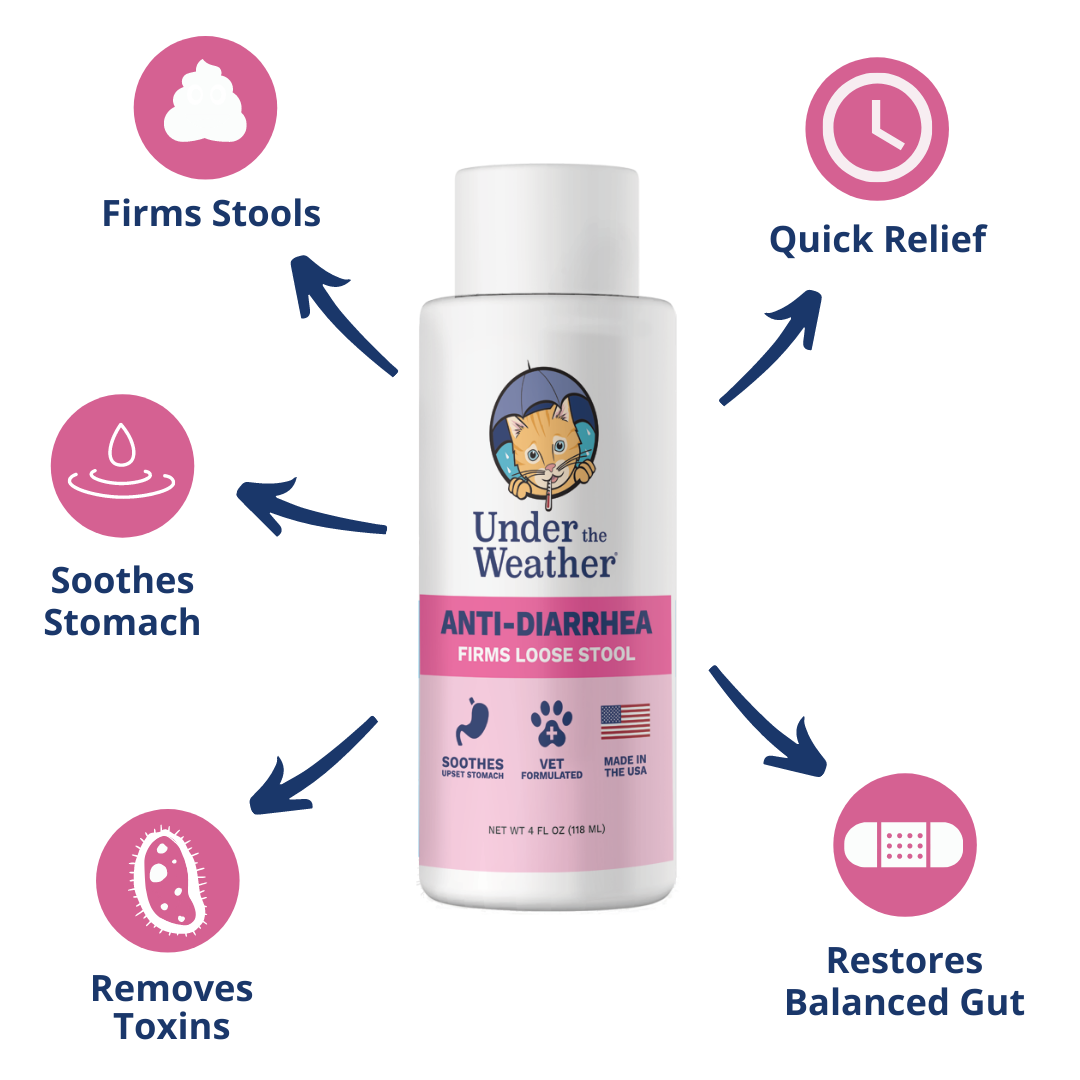 Probiotic Soft Chews & Anti-Diarrhea Bundle For Cats