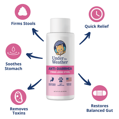 Probiotic Soft Chews & Anti-Diarrhea Bundle For Cats