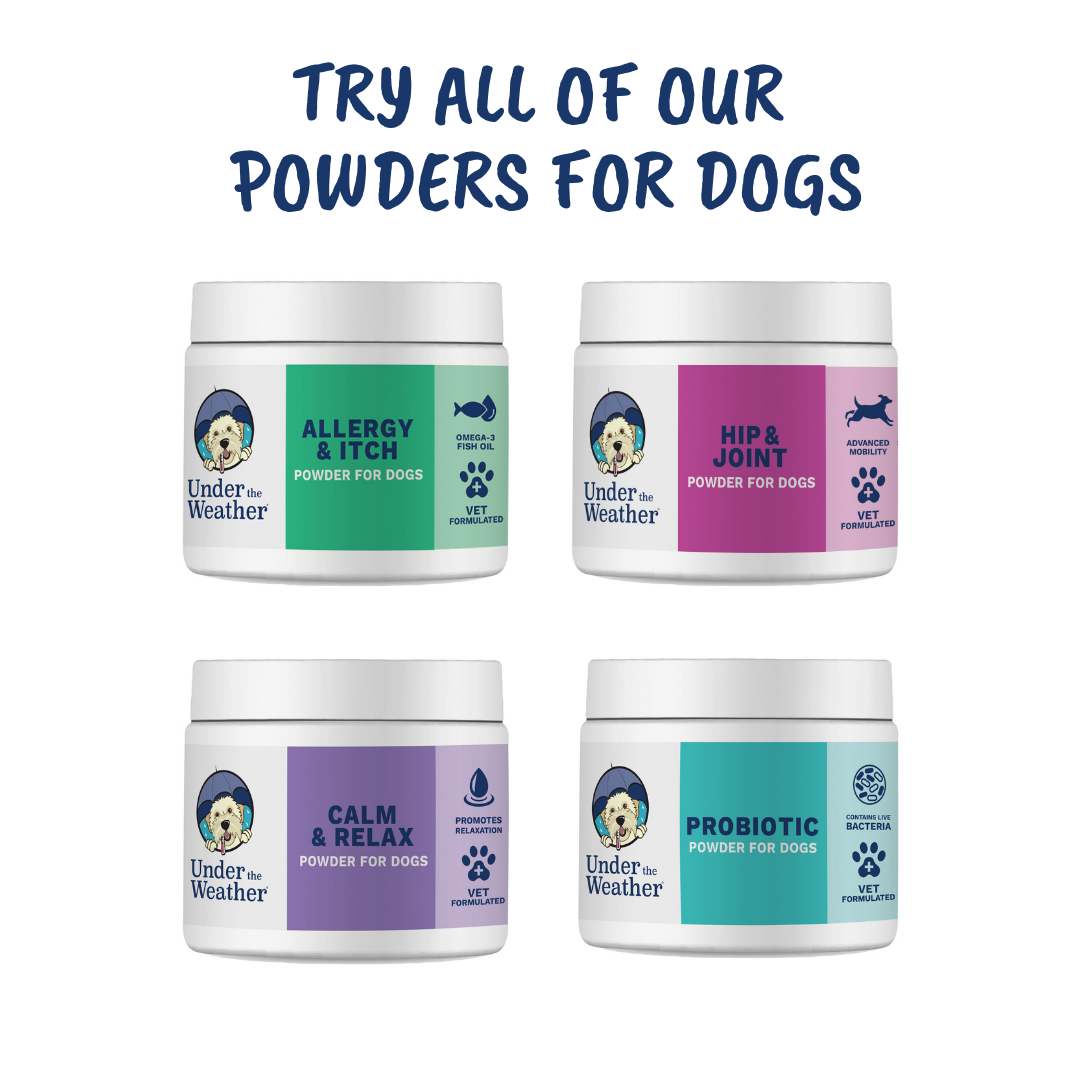 Hip & Joint Support Powder for Dogs