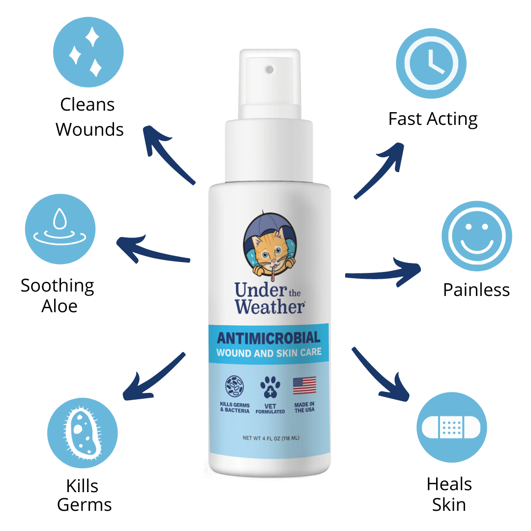 Antimicrobial Wound Spray and Calming Chews for Cats