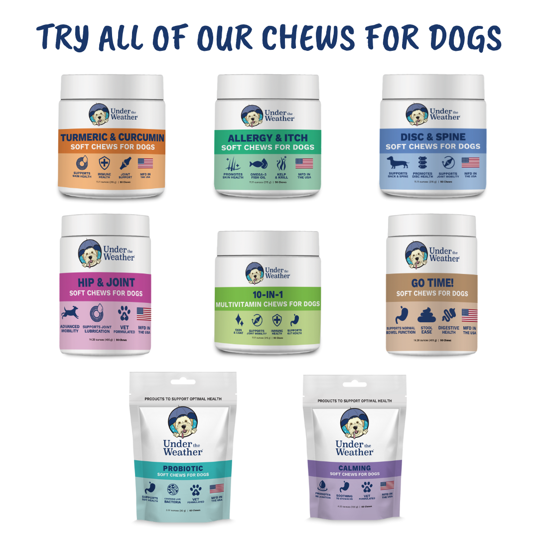 Disc and Spine Chews For Dogs